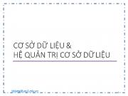 Bài giảng Hệ quản trị cơ sở dữ liệu - Chương 1: Cơ sở dữ liệu và hệ quản trị cơ sở dữ liệu