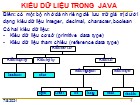 Bài giảng Lạp trình hướng đối tượng - Chương 2: Kiểu dữ liệu trong Java - Nguyễn Thanh Sang