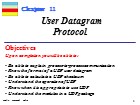 Bài giảng TCP/IP Protocol - Chapter 11: User Datagram Protocol