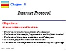 Bài giảng TCP/IP Protocol - Chapter 8: Internet Protocol