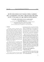 Bước đầu khảo sát hàm lượng carbon hữu cơ không tan (POC) trong môi trường nước vùng hạ lưu hệ thống sông Hồng