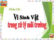 Bài giảng Các phương pháp xử lý sinh học tự nhiên - Phần III: Vi sinh vật trong xử lý môi trường