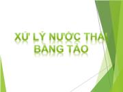 Bài giảng Các phương pháp xử lý sinh học tự nhiên - Phần: Xử lý nước thải bằng tảo