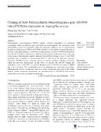 Cloning of AA9 Polysaccharide Monooxygenase gene AN3860 into pEX2B for expression in Aspergillus oryzae