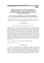 Determination of caffeine in the leaves and flowers of Camellia chrysantha by high-performance liquid chromatography with dad detection