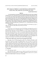 Hiện trạng ô nhiễm và giải pháp bảo vệ môi trường nước sông trên địa bàn thành phố Đà Nẵng