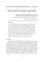 Nghiên cứu hiện trạng và đề xuất phương án phục hồi môi trường cho mỏ đá khu vực nam Khối A – Tân Lâm, Quảng Trị