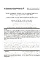 Nghiên cứu khả năng chống oxy hóa của thiamine (Vitamin B1) bằng phương pháp phiếm hàm mật độ (DFT)