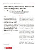 Optimization of culture conditions of iron-enriched biomass of Saccharomyces pastorianus by response surface methodology