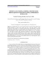 Removal of nickel, copper, and zinc ions from aqueous solution using coffee bean husk (CFH)