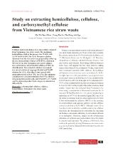 Study on extracting hemicellulose, cellulose, and carboxymethyl cellulose from Vietnamese rice straw waste