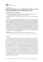 Sự thay đổi dòng chảy trên các nhánh: Tonle Sap, Bassac và Mê Công, do hạ thấp đáy sông ở hệ thống sông Cửu Long