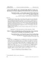 Tăng cường trường trao đổi dịch theo phương vuông góc trong hệ vật liệu [Co/Pd]/IrMn với lớp xen giữa CoFe siêu mỏng