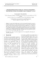 Higher-order nonclassical and entanglement properties in photon-added trio coherent state