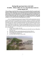 Hướng dẫn quy hoạch bảo vệ bờ biển Ưu điểm – Nhược điểm của các công trình bảo vệ bờ và những nguyên tắc