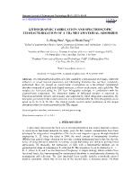 Lithographic fabrication and spectroscopic characterization of a THz metamaterial adsorber