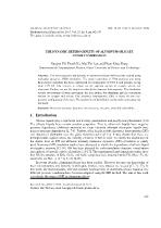 The dynamic heterogeneity of aluminum-silicate under compression