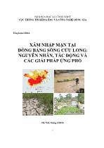 Xâm nhập mặn tại đồng bằng sông Cửu Long: Nguyên nhân, tác động và các giải pháp ứng phó