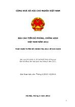 Báo cáo Tiến độ phòng, chống AIDS Việt Nam năm 2012