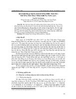 Đổi mới hoạt động bồi dưỡng hiệu trưởng trường tiểu học theo khung năng lực