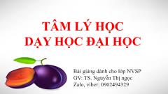 Bài giảng Tâm lý học dạy học đại học - Nguyễn Thị Ngọc