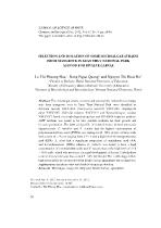 Selection and isolation of some microalgae strains from mangrove in Xuan Thuy national park as food for bivalve larvae