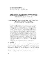 Sự biến động một số chỉ tiêu sinh lí, hóa sinh theo tuổi phát triển của quả mướp đắng (Momordica charantia LINN) trồng tại Trâu Quỳ, Gia Lâm, Hà Nội