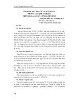 Tìm hiểu mức sống của người dân trong các khu ổ chuột trên địa bàn Quận 8 thành phố Hồ Chí Minh