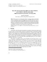 Trợ giúp cho người đồng tính nam, đồng tính nữ, song tính và chuyển giới (LGBT) - Những nguyên tắc đạo đức cần tuân thủ